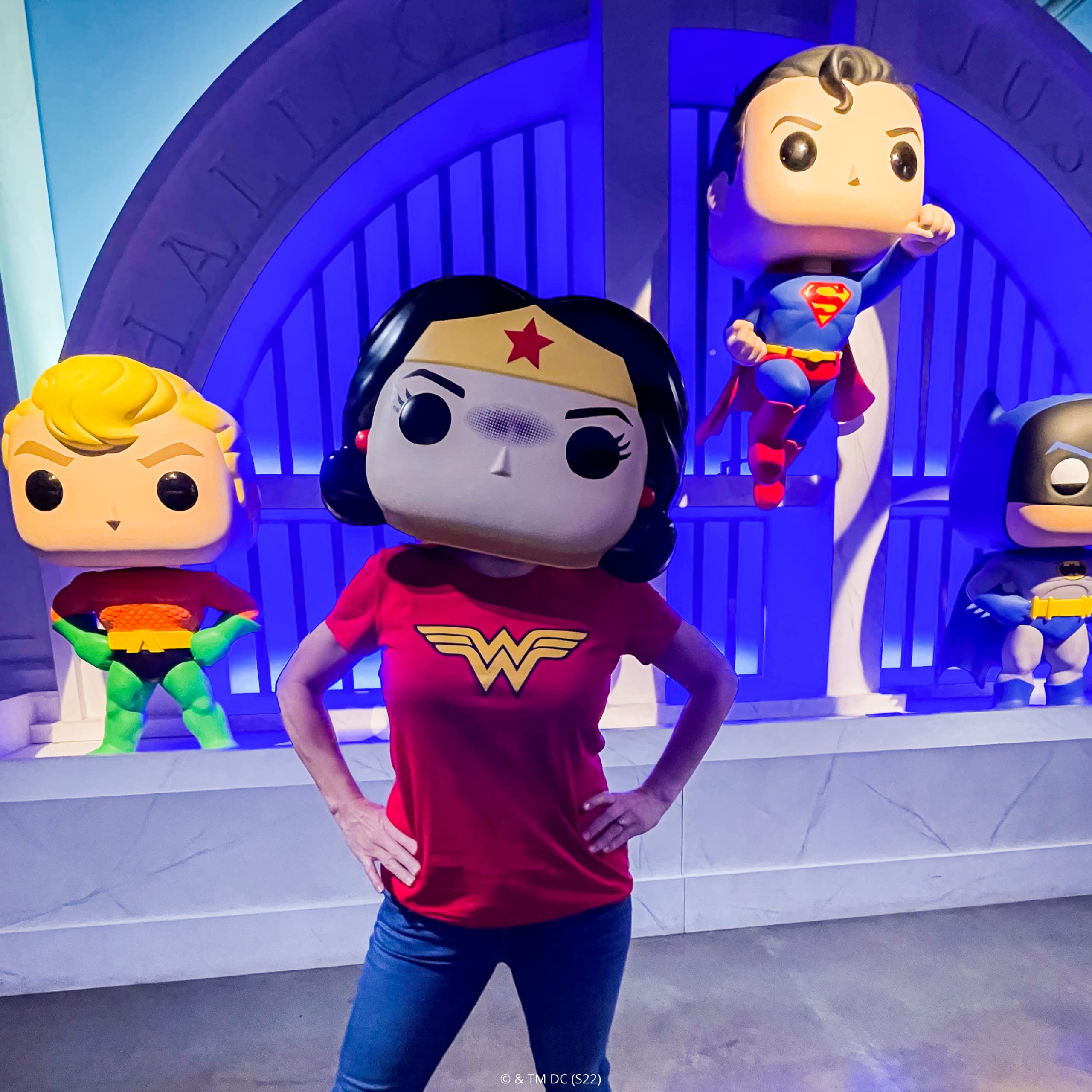Funko Wonder Woman Pop! Mask - Premium Costume Accessory & Collectible Wall Art for Halloween, Cosplay, and Superhero Fans