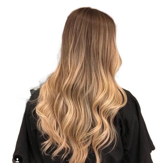 TressMatch® 20-22 Inch Clip-in Human Hair Extensions - 10 Piece Full Head Volume Set with Ombre/Dip Dye (Chestnut Brown to Caramel Blonde) - 5.6oz/160g Remy Hair for Thick Ends - Perfect for Daily Styling, Parties & Special Occasions