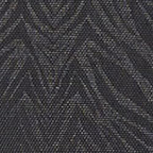 Black Zebra