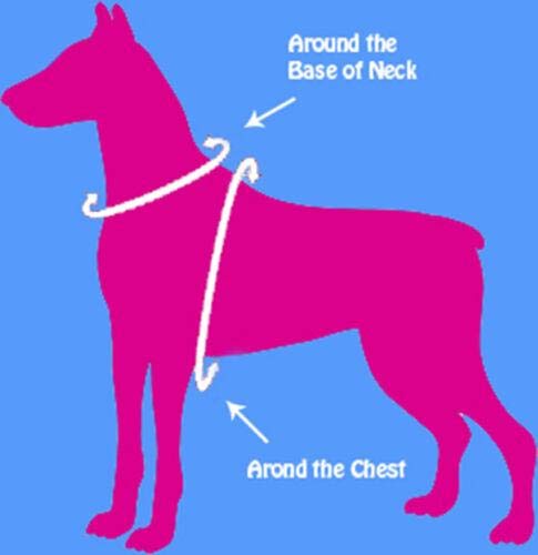 Step-in Dog Harness for Small Dogs - Adjustable Pink Pet Harness with Soft Padding | Perfect for Walking, Training & Outdoor Adventures