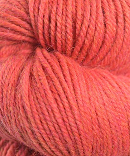 62178 Grapefruit Mix