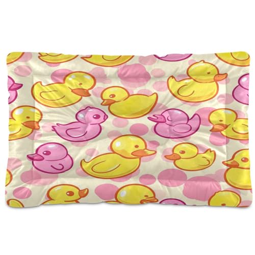 Yellow Pink Ducks