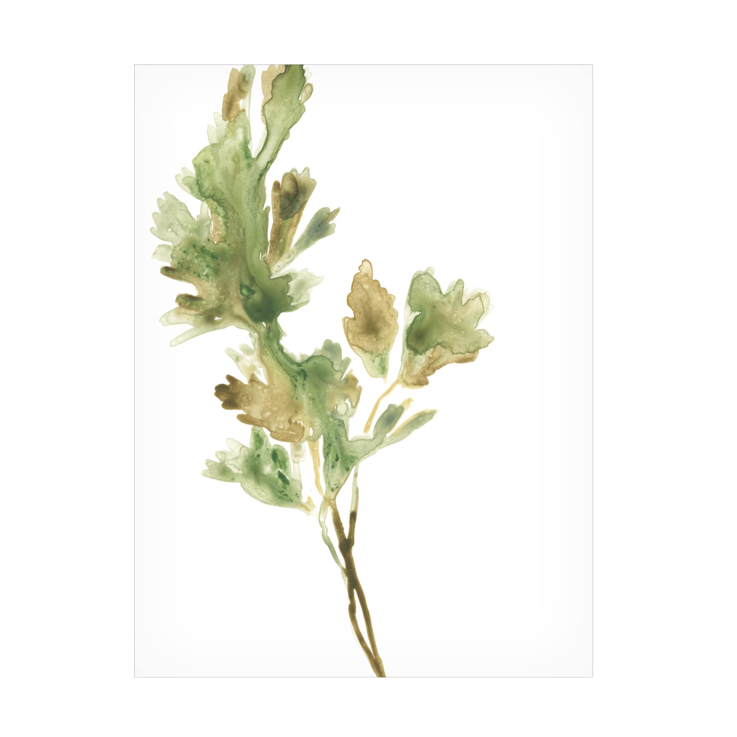 Trademark Fine Art 'Earthtone Herbs I' Canvas Wall Art Print by June Erica Vess - Nature Inspired Botanical Decor for Living Room, Bedroom & Office