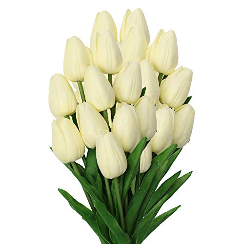 Pale Yellow #20