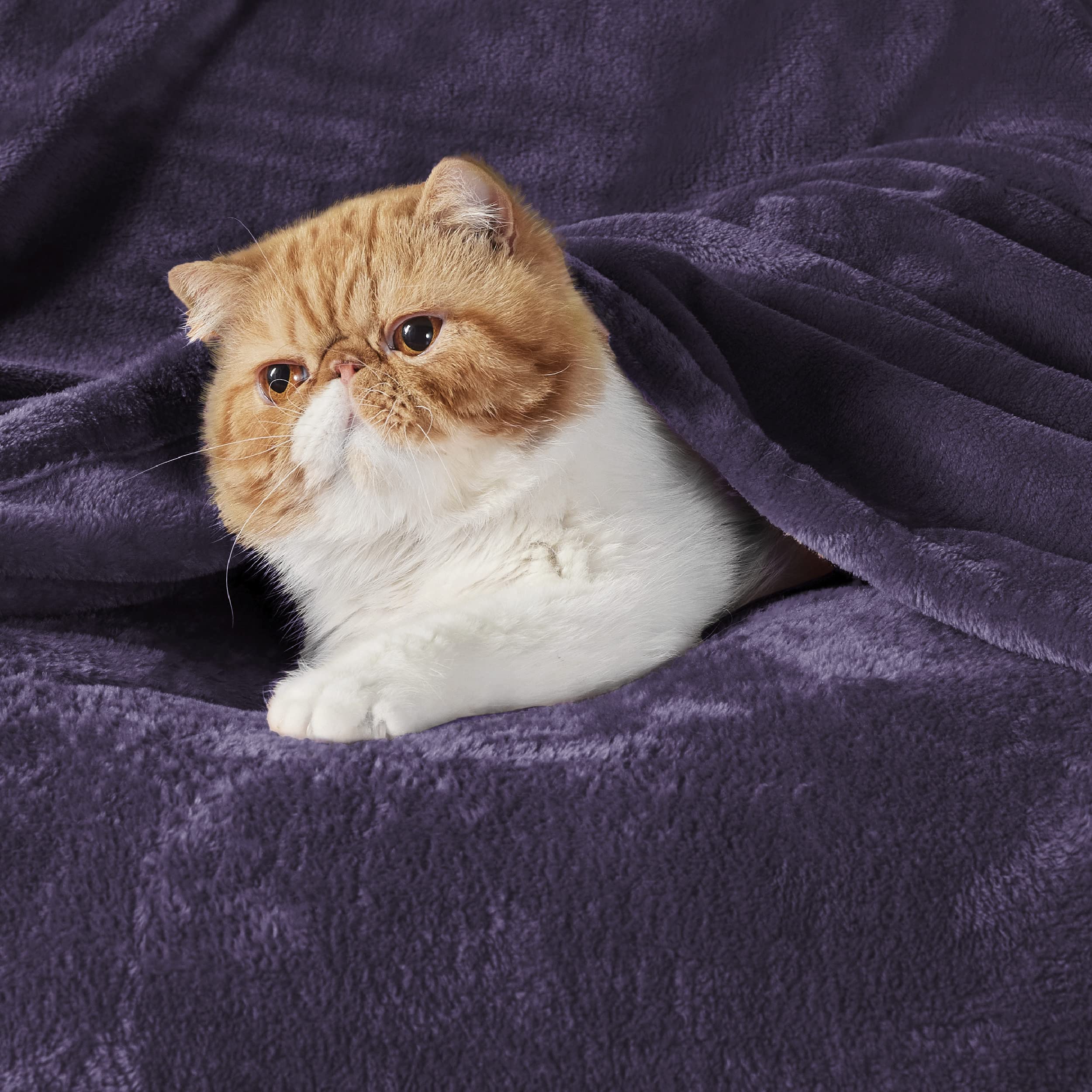 Bedsure 300GSM Fleece Throw Blanket - Ultra Soft Plush Cozy Blanket for Couch, Sofa & Bed, Lightweight Warm Blanket for Toddlers & Adults, 50x60 Inches - Perfect for Lounging, Movie Nights & Winter Comfort