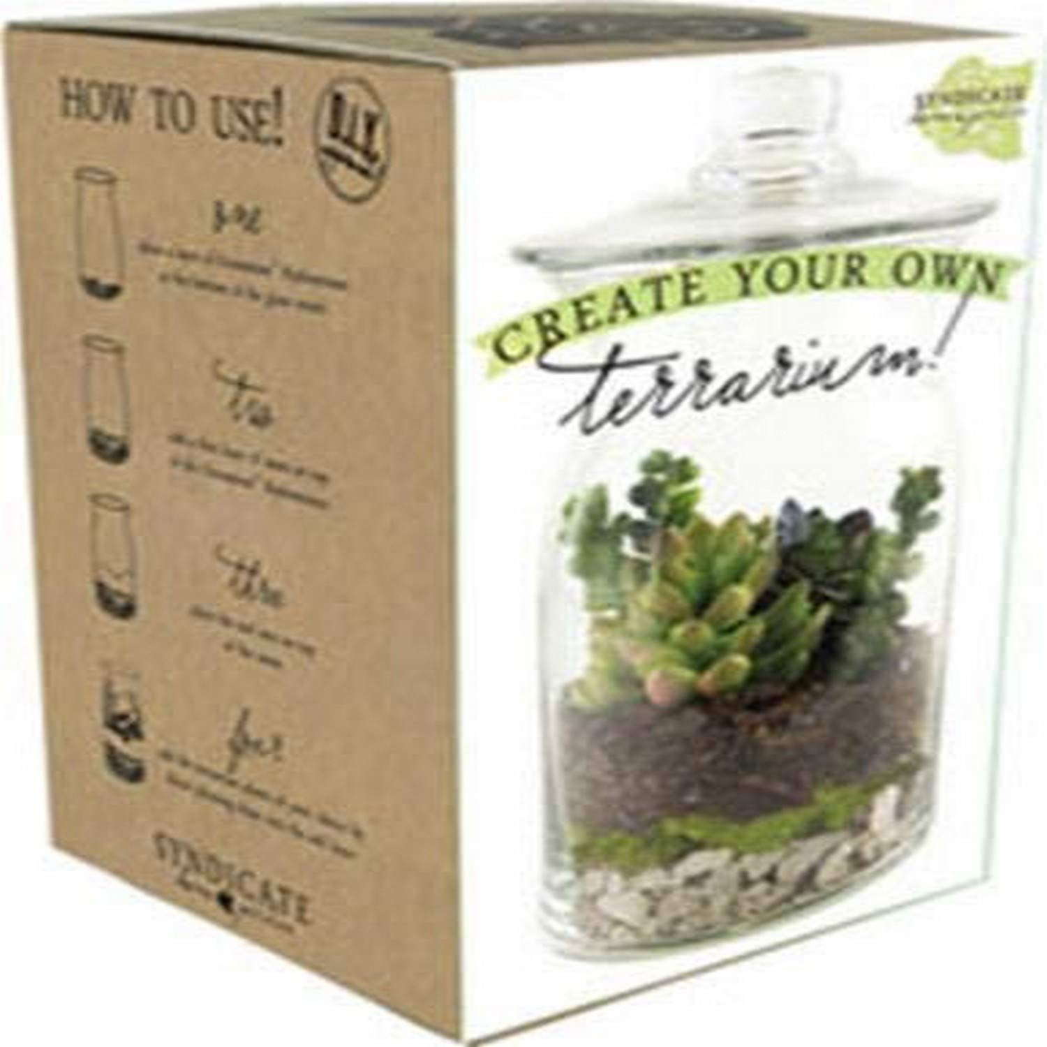 DIY Terrarium Kit for Succulents & Air Plants - Complete Glass Terrarium Set with Tools, Soil & Decor - Perfect for Home, Office & Gift Giving