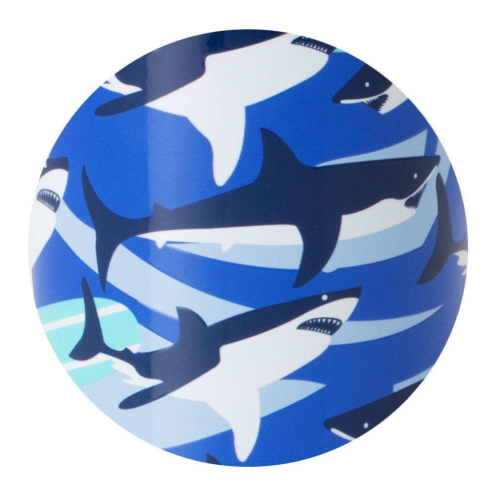Shark Fin Folding Lunch Box Set - Bento Box for Kids & Adults - Perfect for School, Office & Picnics