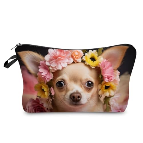 Chihuahua 02