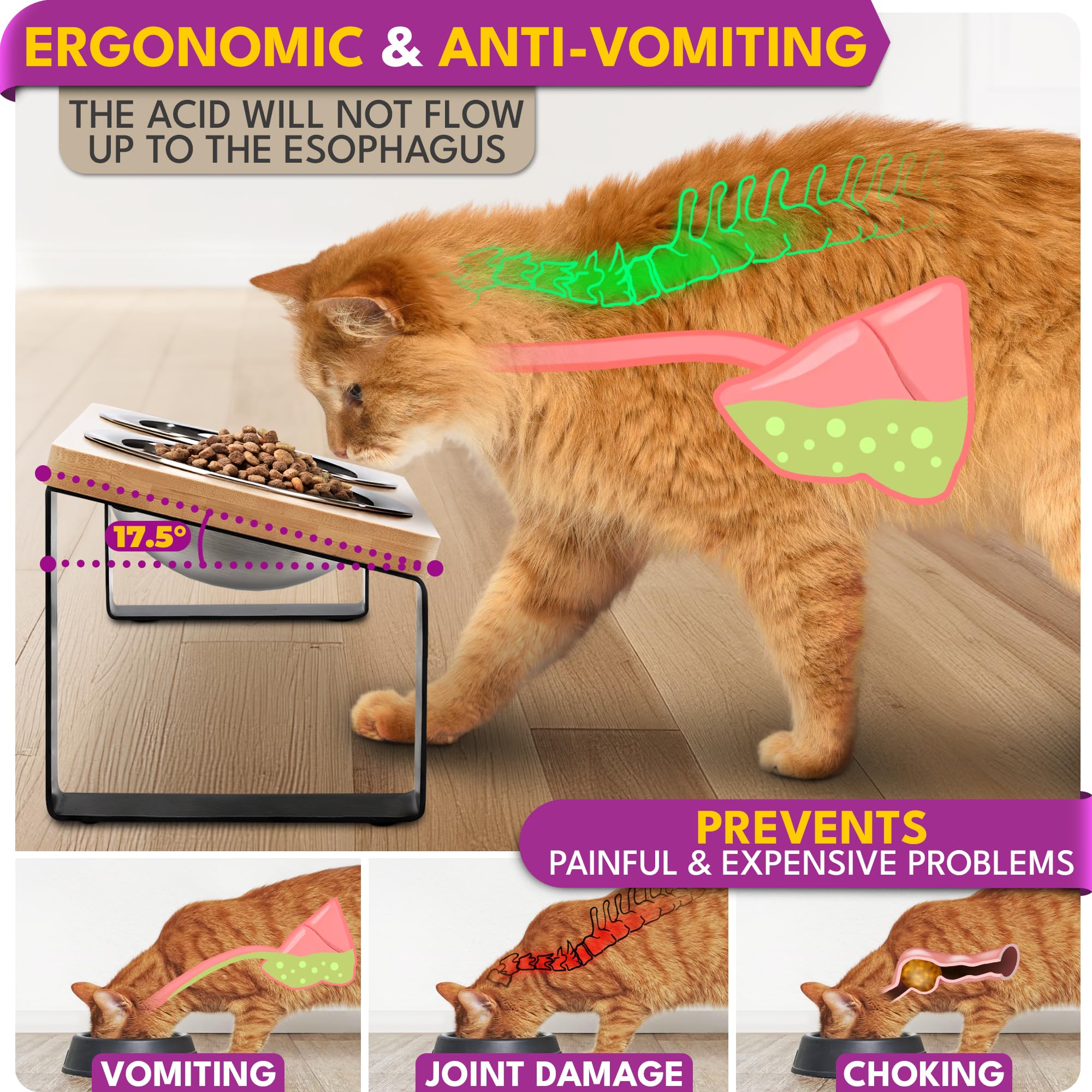 Elevated Cat Bowls for Indoor Cats - Raised Cat Food Dishes with Stand for Comfortable Feeding, Perfect for Small Dogs & Kittens (Home Use, Kitchen, Living Room)
