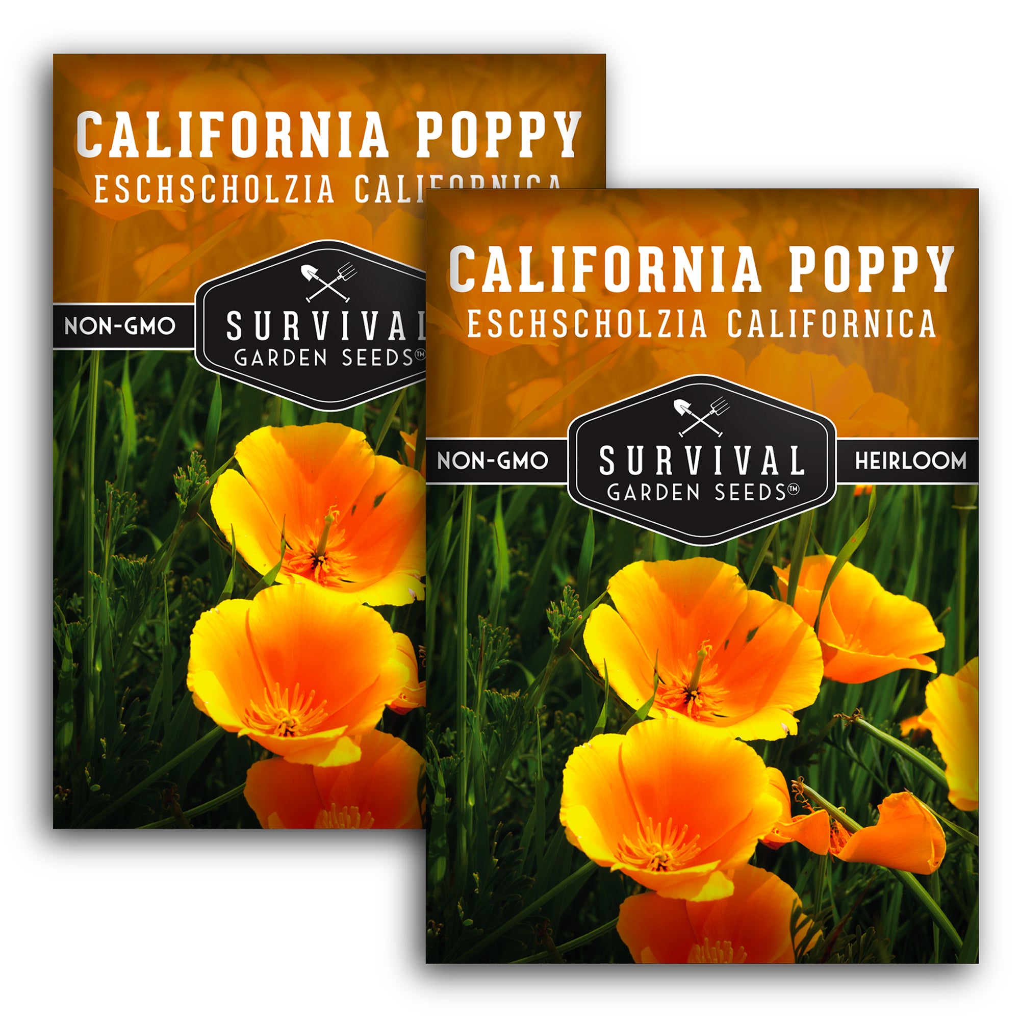 California Poppy Seeds - Organic, Non-GMO, Heirloom Variety for Planting & Gardening - Perfect for Wildflower Gardens, Landscaping & Pollinator-Friendly Yards