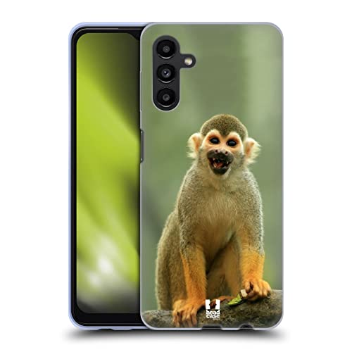 Common Squirrel Monkey