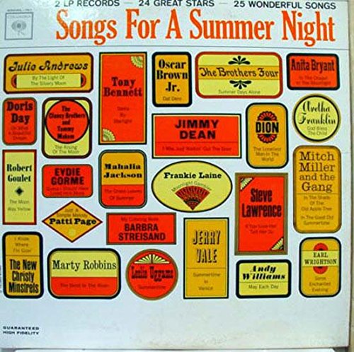 Various Songs for a Summer Night - Vinyl Record LP for Relaxing, Parties & Nostalgic Evenings | Perfect for Home Listening, Gifts & Music Collectors