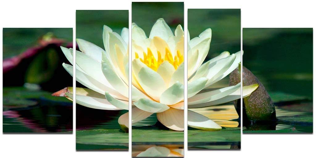 Startonight Water Lily Glass Wall Art & Contemporary Clock Set - 5-Piece Acrylic Decor (35.43x70.87 Inch) - 100% Original Artwork for Living Room, Bedroom & Office Decor
