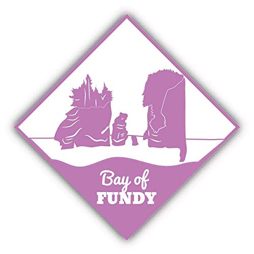 Bay of Fundy Travel Souvenir - 5