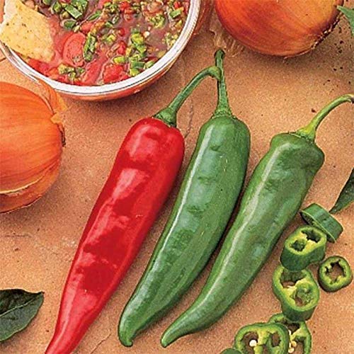 Garden Salsa F1 Hybrid Hot Pepper Seeds - 60+ Seeds Pack | Spicy Homegrown Peppers for Salsas, Sauces & Canning
