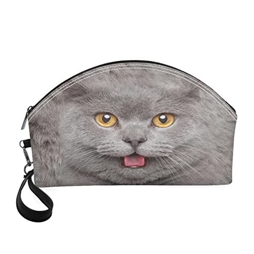 3d British Shorthair Blue Cat