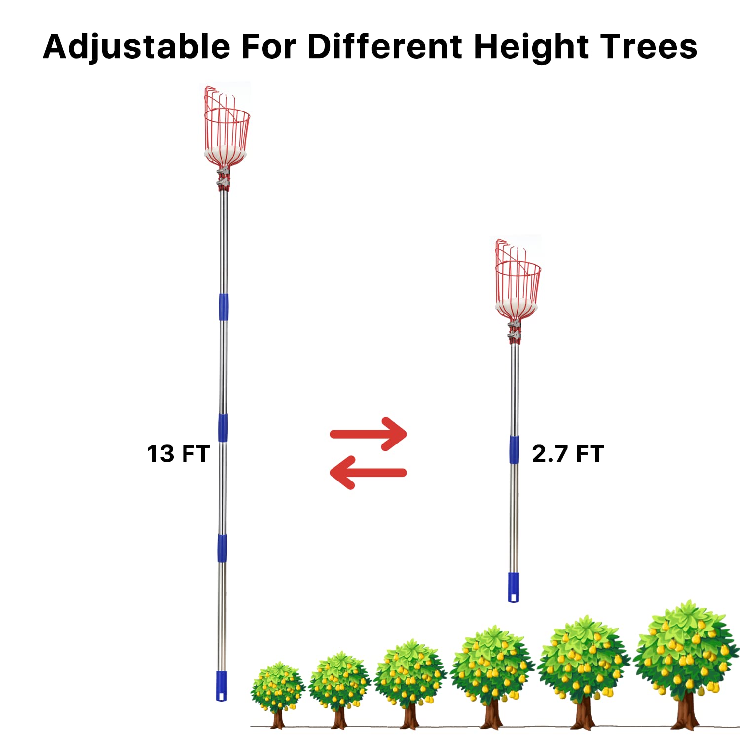 13 FT Adjustable Fruit Picker Pole with Large Basket - Metal Handle Gardening Tool for Apple, Orange, Mango & Apricot Trees - Includes Extra Fruit Carrying Bag - Perfect for Home Orchards, Backyard Harvesting & Commercial Fruit Picking