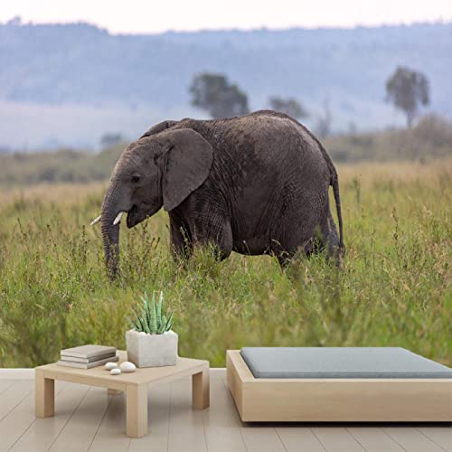 3D Elephant Africa Wall Mural - Self-Adhesive PVC Wallpaper | Peel & Stick Poster for Bedroom & Living Room Decor | 110