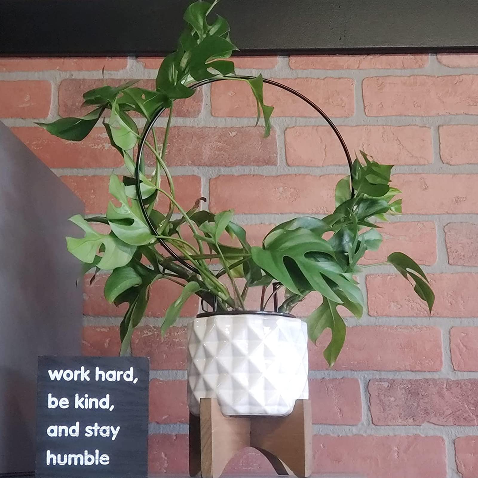 Acrux7 10-Pack Indoor Plant Trellis - Circular Climbing Plant Support for Potted Vines, Hoya & Topiary Frames | Perfect for Home Decor, Garden & Indoor Gardening