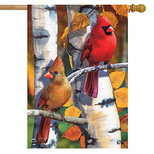22 - Birch Cardinals