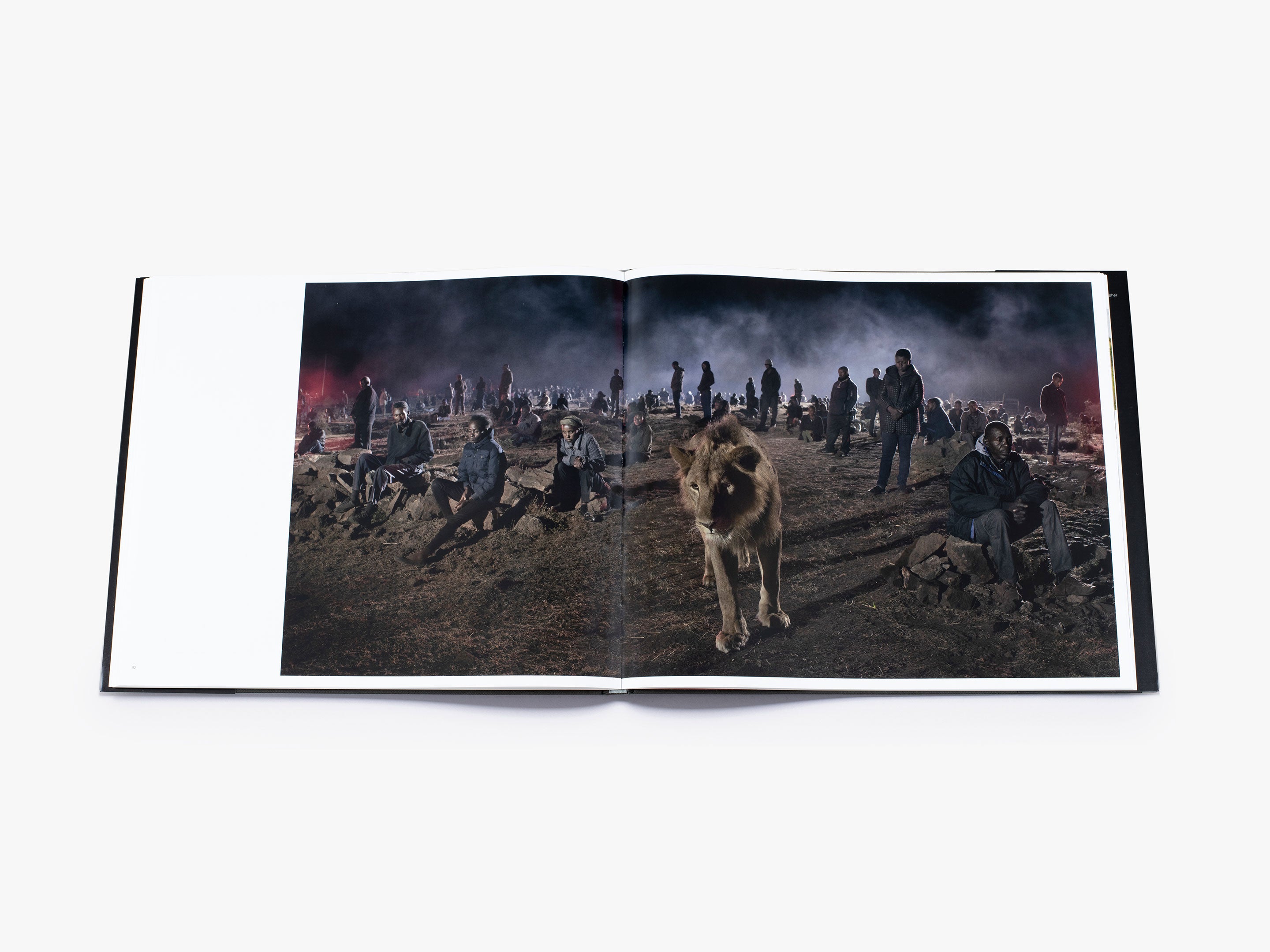 Nick Brandt: This Empty World - Stunning Wildlife Photography Book for Nature Lovers | Perfect for Home Decor, Coffee Table Display & Conservation Awareness