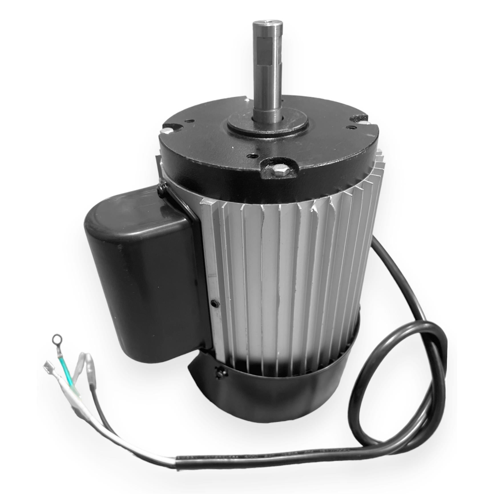 WEN 3424 Replacement Motor Assembly - 14mm Shaft, 1.5