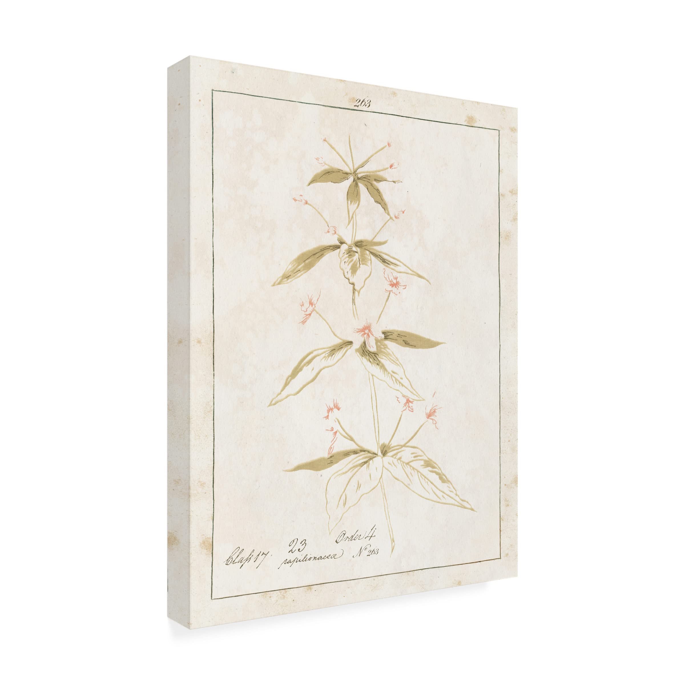 Wild Apple Portfolio 'Flowers on White III with Words' Canvas Wall Art Print - Floral Home Decor for Living Room, Bedroom & Office