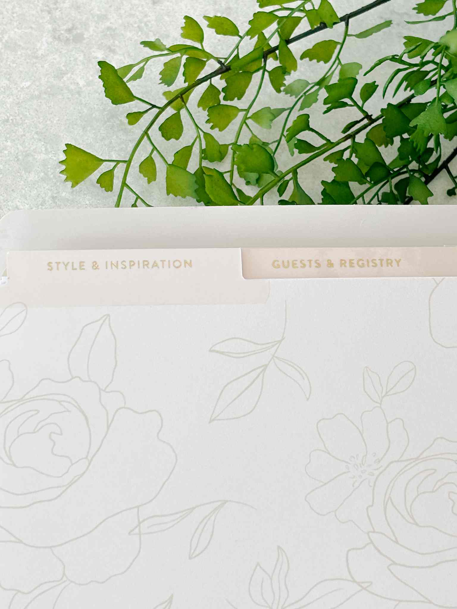 Professional Wedding Planner & Organizer - Stress-Free Wedding Planning for Brides & Grooms | Perfect for Destination Weddings, Elopements & Large Celebrations
