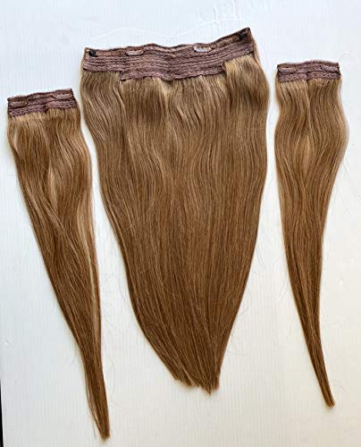 Chestnut Brown