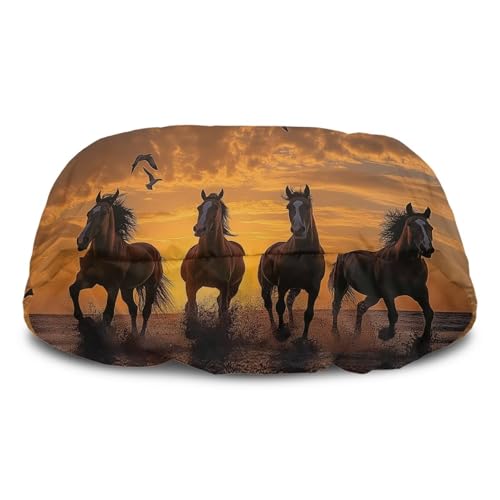 Brown Horse