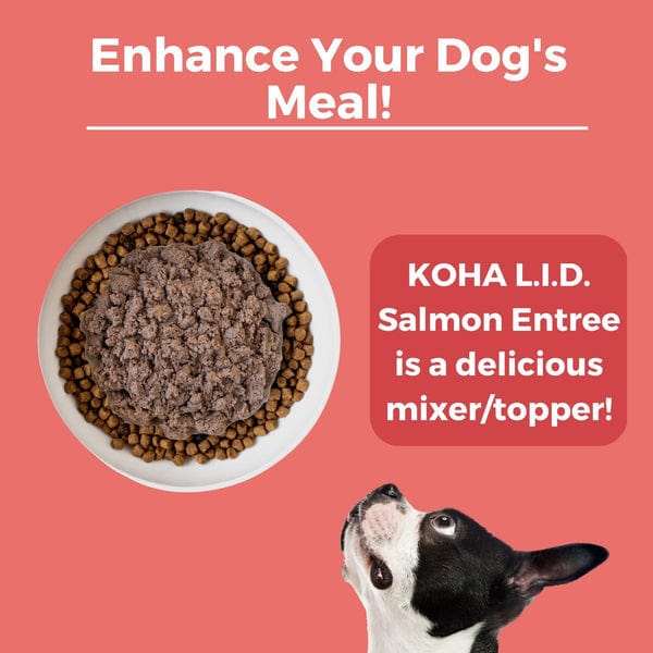 KOHA LID Salmon Entrée Canned Dog Food - Grain-Free, Limited Ingredient Diet for Dogs with Sensitive Stomachs - Perfect for Mealtime, Travel & Emergency Pet Food Supply