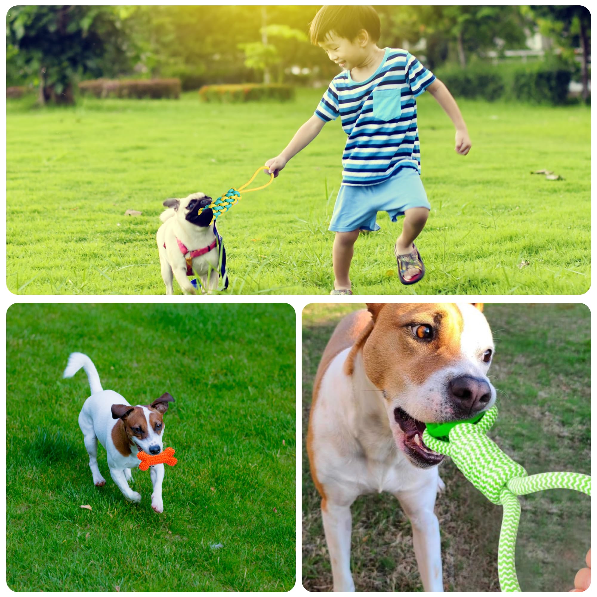 Durable Bungee Tug Toy for Dogs with 4 Chew Toys - Interactive Tug of War Rope Toy for Small to Large Breeds | Hanging Tree Toy for Outdoor Play & Indoor Exercise | Promotes Dental Health with Chew Ball & Bone - Perfect for Backyard Fun, Dog Parks & Training Sessions