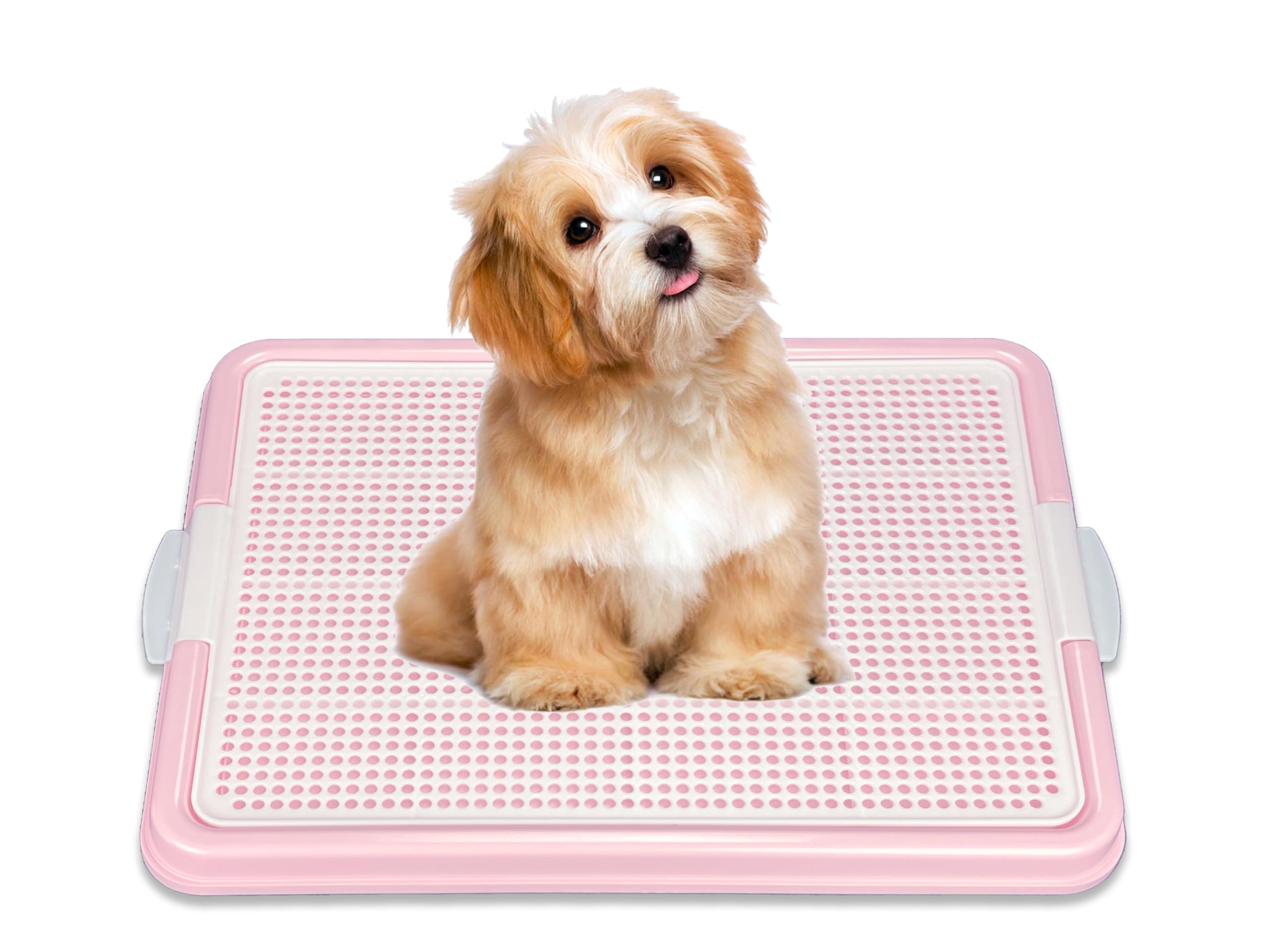 **Dog Pee Pad Holder - 22.5