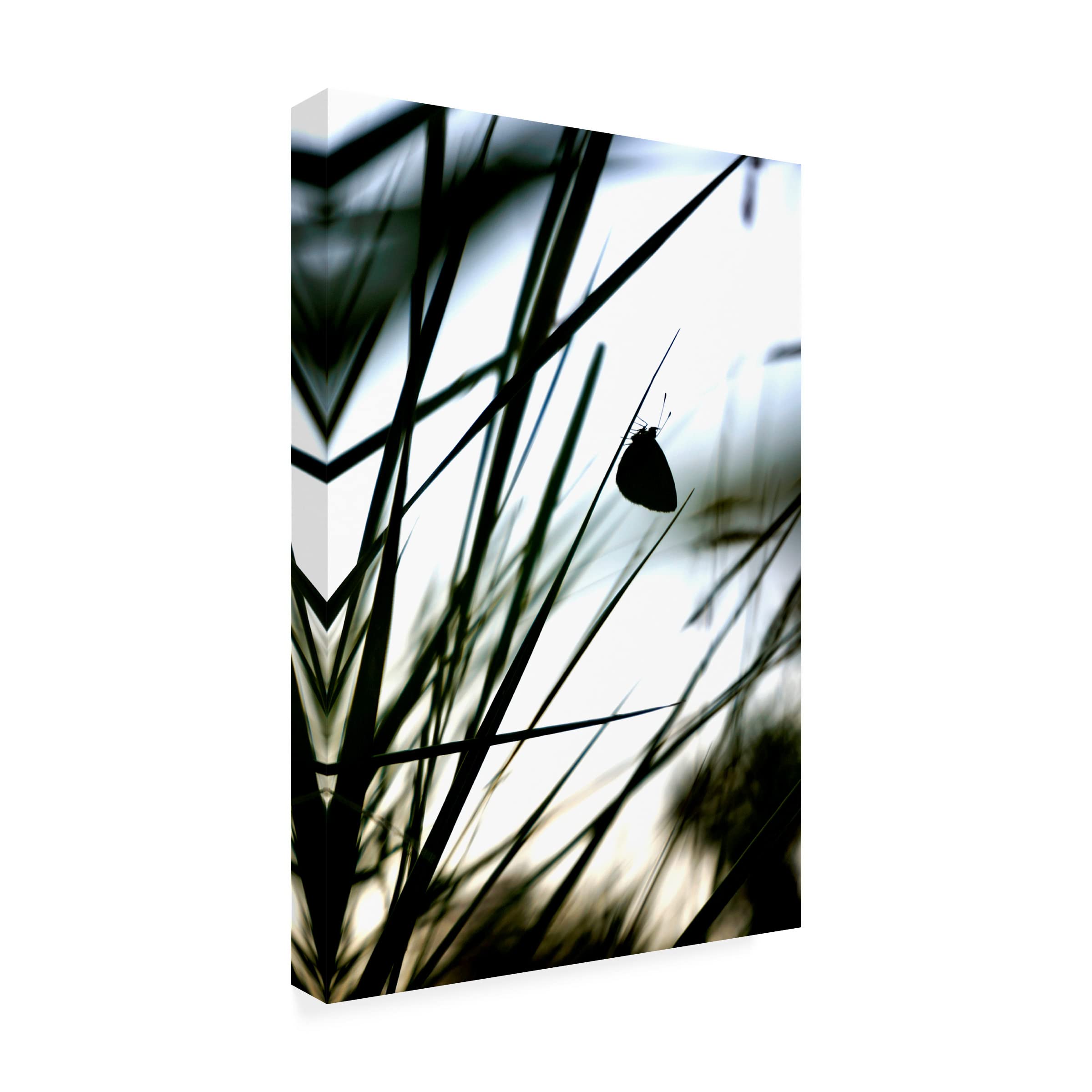 Trademark Fine Art 'Delicacy' Canvas Wall Art by Christian Marcel - Elegant Home Decor for Living Room, Bedroom & Office