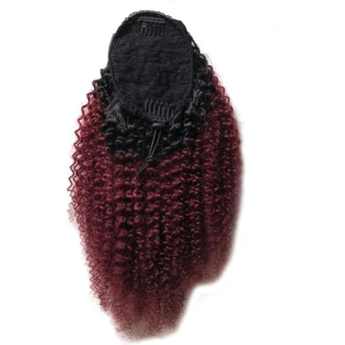 1b/99J Natural Black to Burgundy