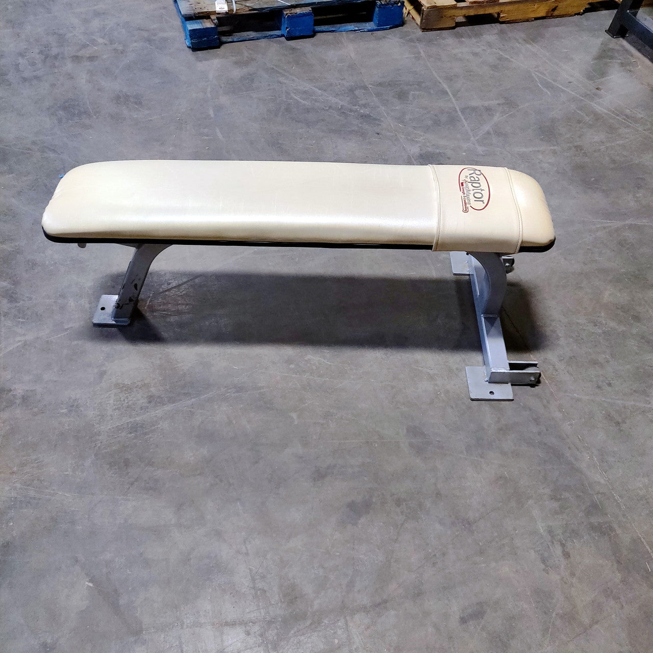 Promaxima Flat Bench Raptor - Adjustable Weight Bench for Home Gym & Strength Training | Perfect for Dumbbell Workouts, Bench Press & Full-Body Exercises