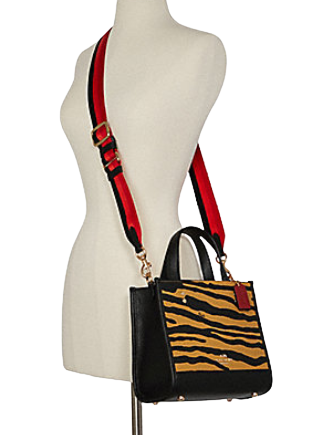 Coach Dempsey Tote 22 With Tiger Print - Stylish Crossbody Handbag for Women, Fashionable Tiger Print Leather Purse - Perfect for Work, Travel & Daily Use