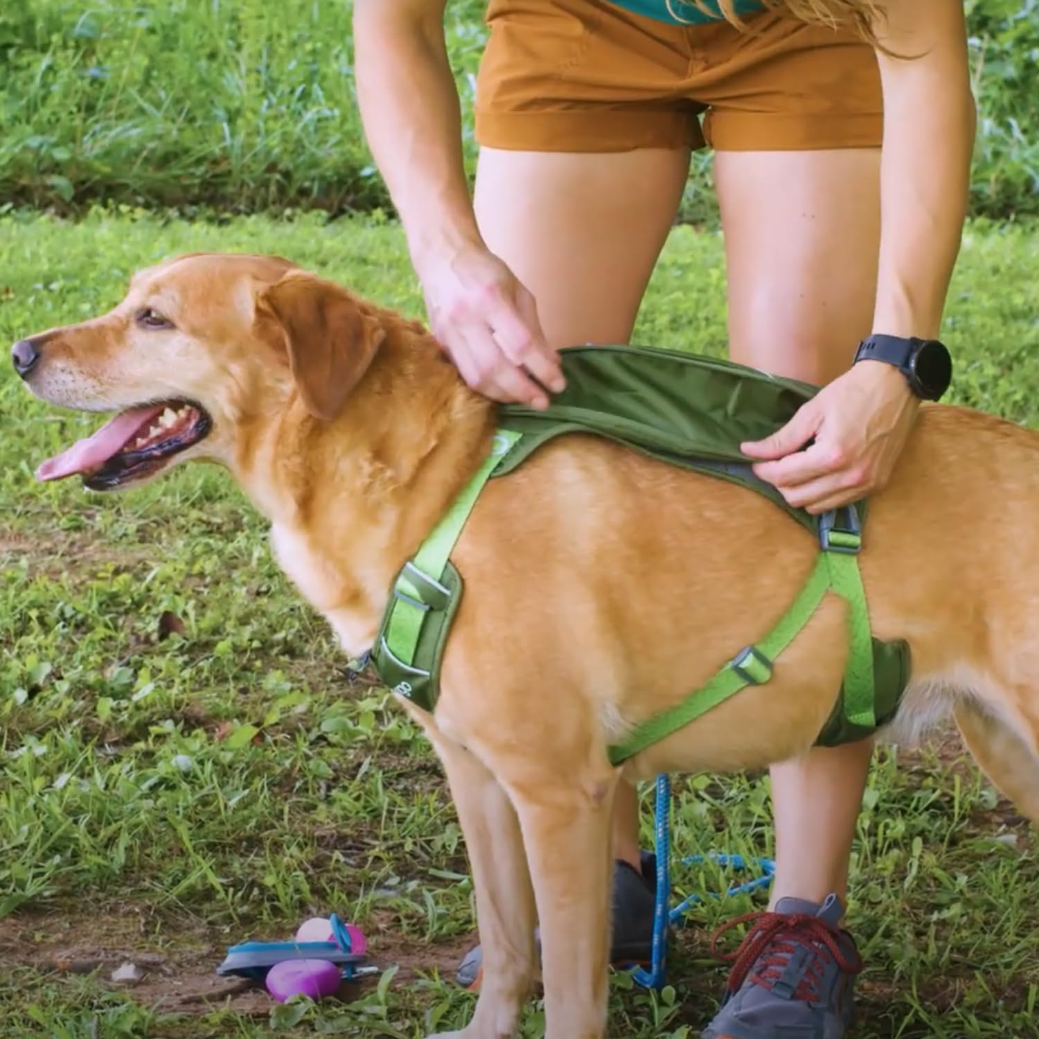 Kurgo Cascade Dog Harness with Hiking Backpack - Adjustable Pet Adventure Gear for Camping & Outdoor Activities (Orange, Large) - Perfect for Hiking, Travel & Daily Walks
