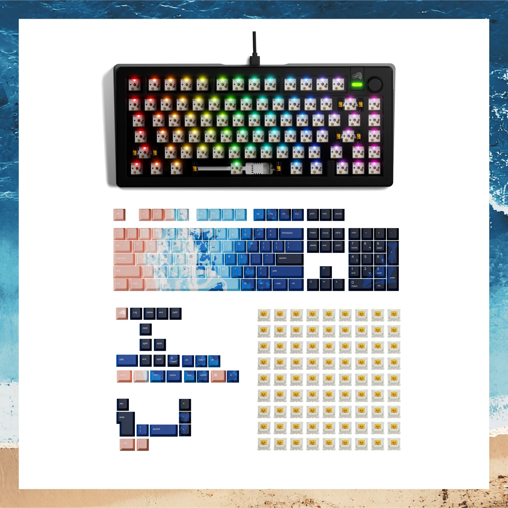 High Tide Bundle - Premium Beach & Pool Essentials for Summer Fun - Perfect for Swimming, Surfing, and Water Sports Enthusiasts