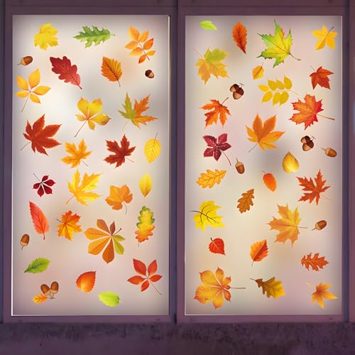 Fall