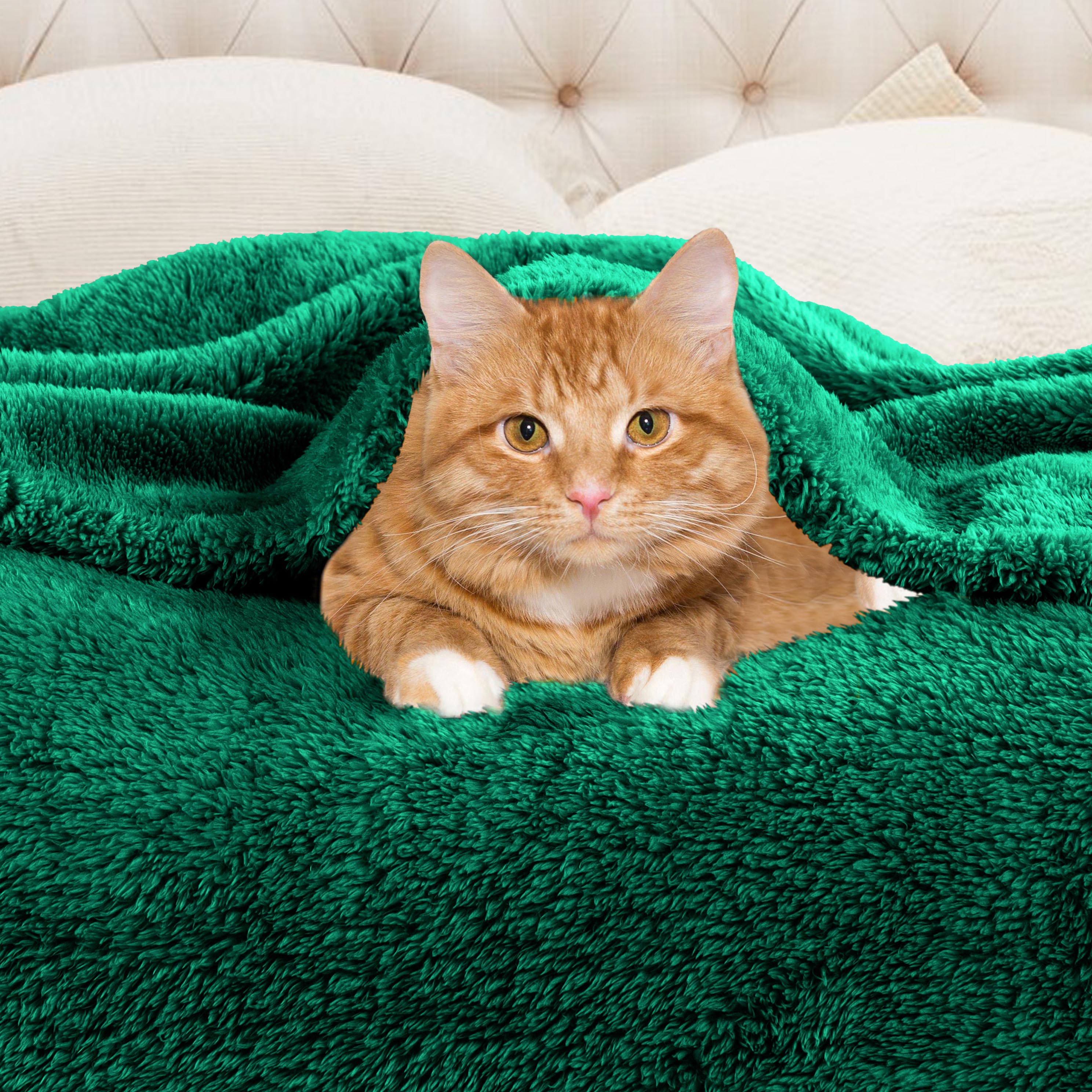 Classic Solid Fleece Plush Medium Weight Fluffy Soft Blanket - Cozy & Warm for Bed, Sofa, Travel & Gifts | Ultra-Soft Throw Blanket for All Seasons