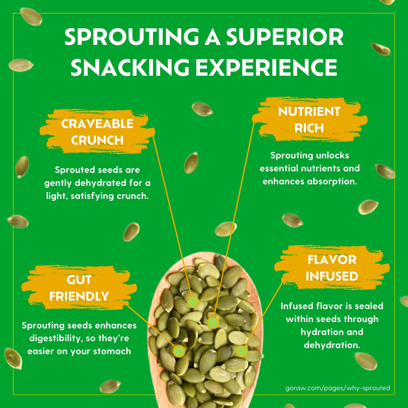 Go Raw Organic Sprouted Pumpkin & Sunflower Seeds - 10 oz, Sea Salted, Keto, Paleo, Vegan, Kosher, Gluten-Free Superfood Snack for Salads, Yogurt & Healthy On-The-Go Eating