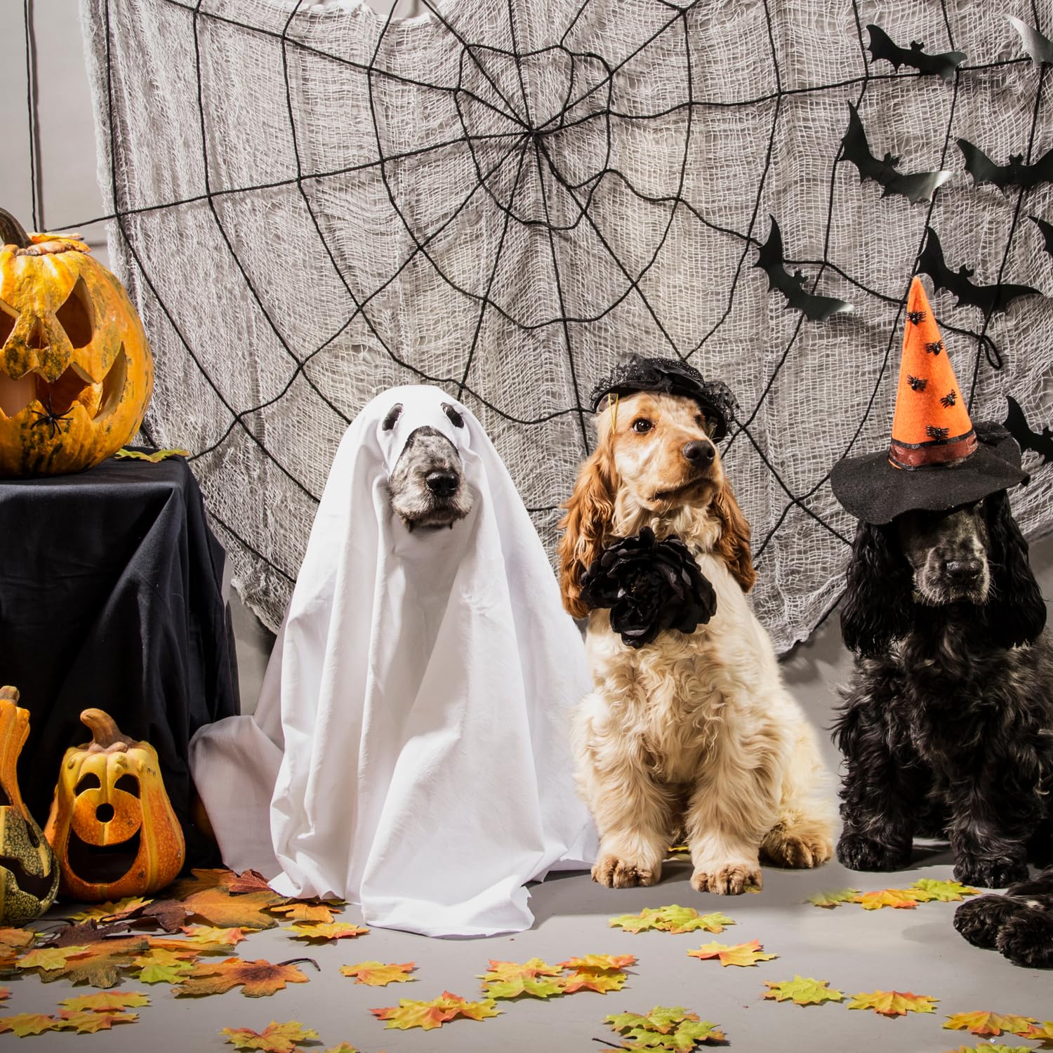 Halloween Ghost Dog Costume - White Pet Ghost Costume for Dogs & Cats - 27.5 x 39.3 inches (70x100cm) - Perfect for Trick or Treat, Halloween Parties & Pet Cosplay Fun