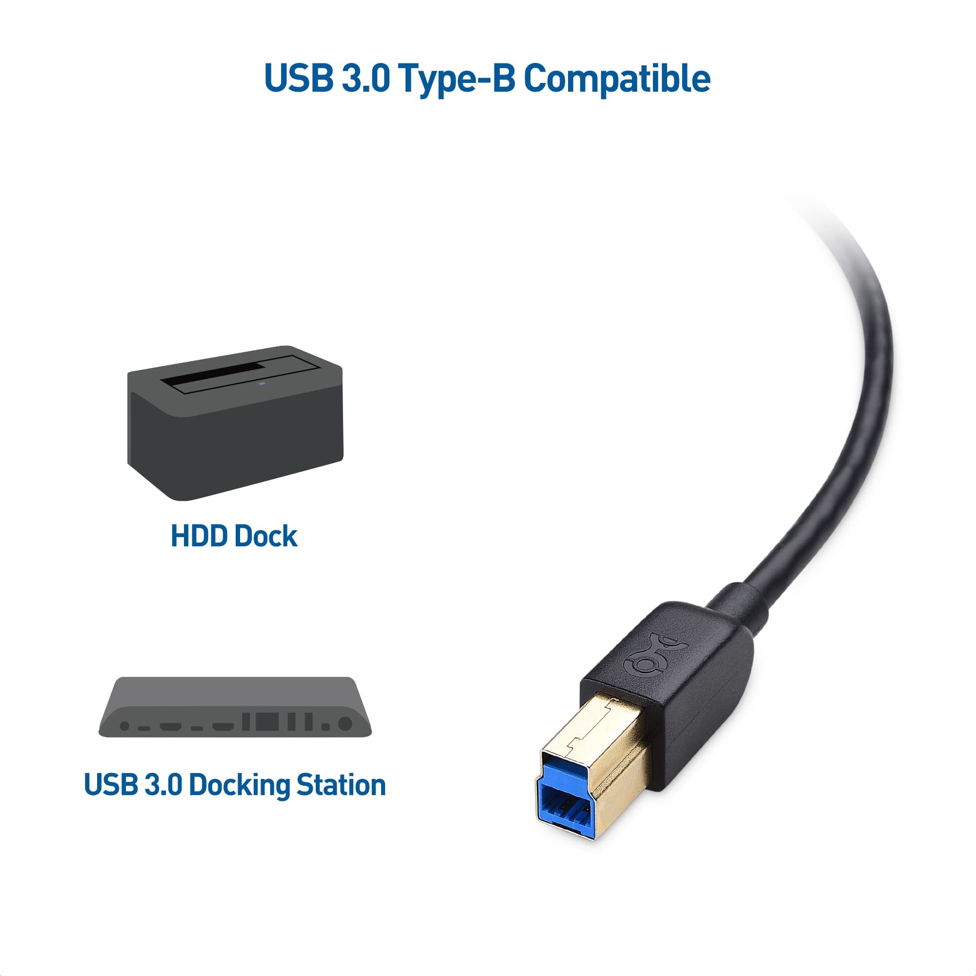 Cable Matters USB-C to USB B 3.1 Gen 2 Cable (6.6ft Black) & USB C to USB Adapter - High Speed Data Transfer for Printers, Scanners, Audio Interfaces & Studio Equipment