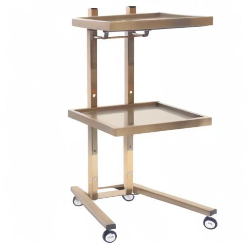 Premium 2-Tier Salon Rolling Cart - Beauty Spa Machine Holder & Storage Trolley for Salon, Studio, Clinic & Dental Office - Gold | Mobile Organizer for Hair Styling, Nail Art & Medical Equipment