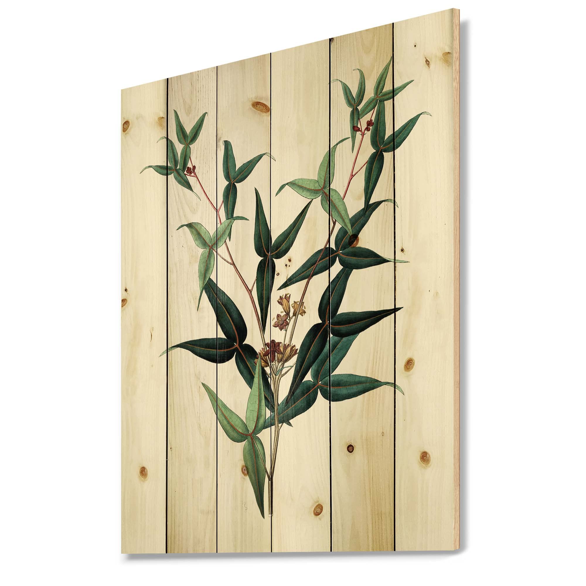 DesignQ Vintage Green Leaves Plants VIII Traditional Wood Wall Decor - Large Floral Wood Wall Art Panels Printed on Natural Pine - Perfect for Living Room, Bedroom & Office Decoration