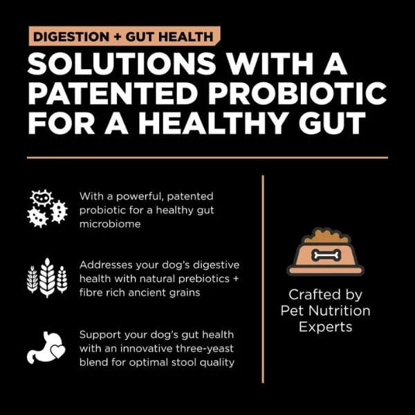 Go! Solutions Digestion + Gut Health Salmon Recipe Dry Dog Food with Ancient Grains - Supports Healthy Digestion for Dogs with Sensitive Stomachs - Perfect for Adult Dogs & Puppies with Allergies or Food Sensitivities