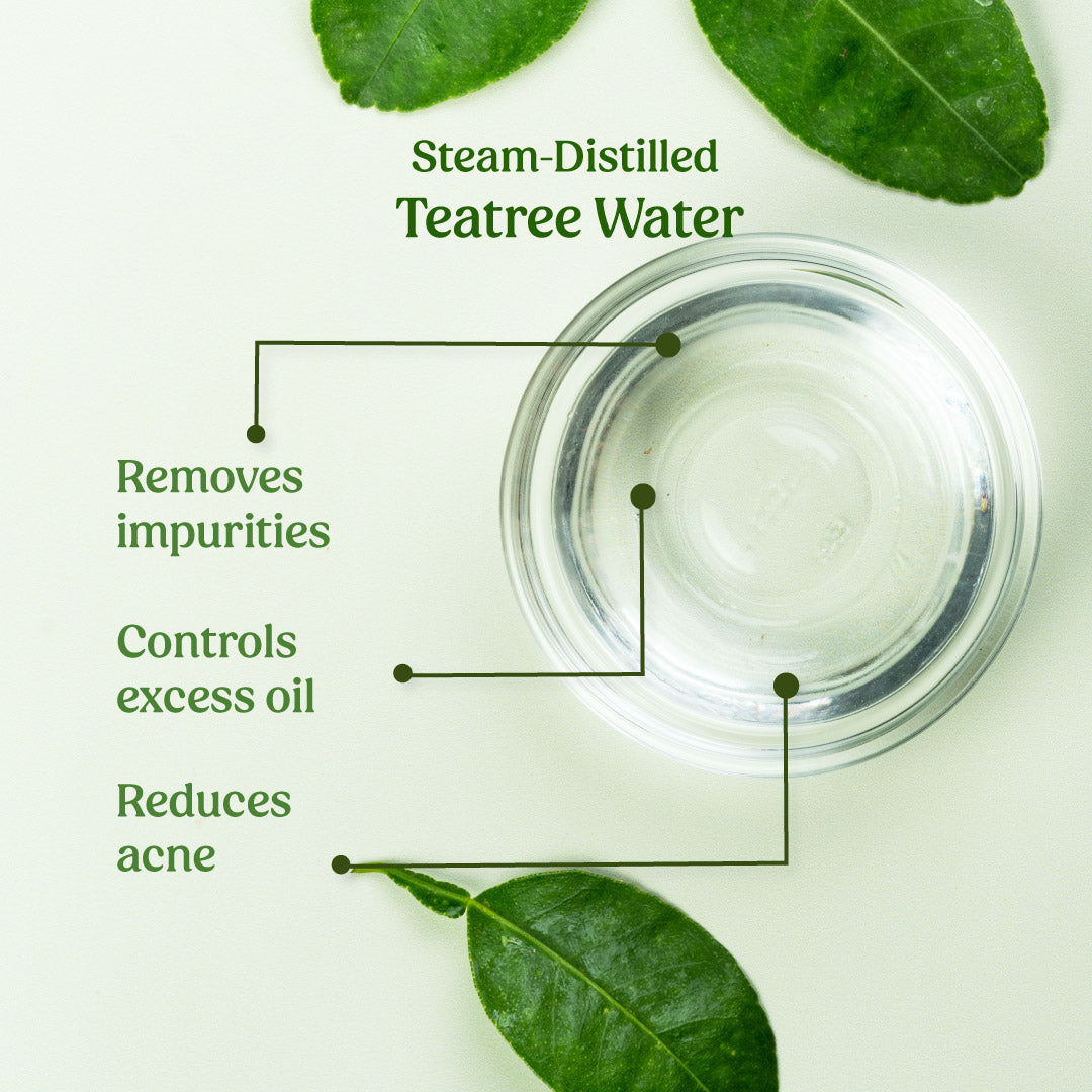 Tea Tree Water Facial Toner for Hydration & Acne Control - Refreshing Skin Care for Oily & Combination Skin - Perfect for Daily Cleansing & Pore Minimizing Routine