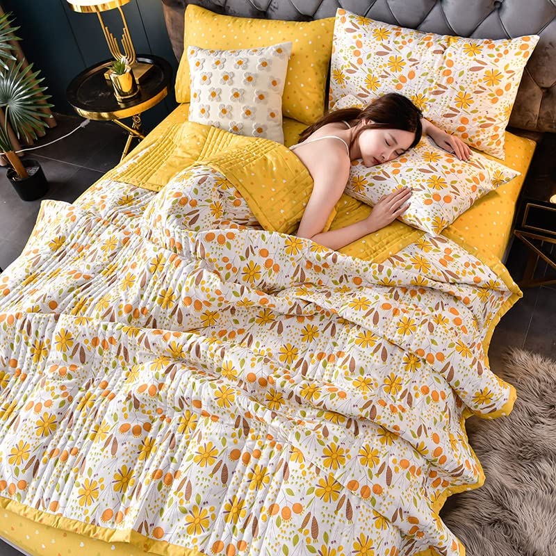 Premium Soft Comforter Quilt Coverlet Bedspread - Twin, Full, Queen, King & California King Size - 100x150cm - Ultra Comfortable for All Seasons - Perfect for Bedroom, Guest Room & Hotel Decor (Color C)