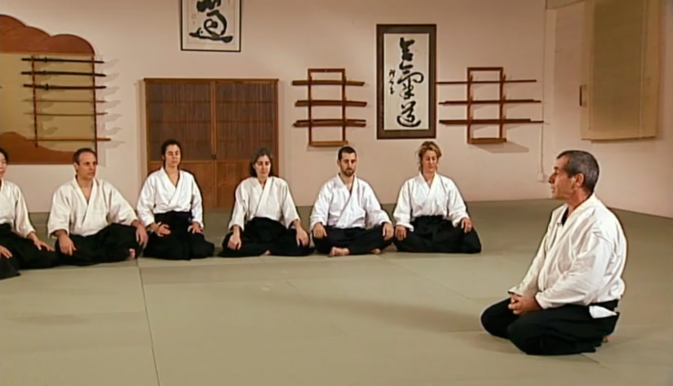 Aikido in Three Easy Lessons DVD by Richard Moon – Learn Aikido Basics for Beginners | Self-Defense & Martial Arts Training at Home